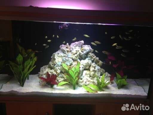 Задний фон для аквариума