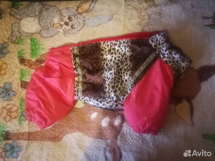 Зимний комбинезон для средней собаки