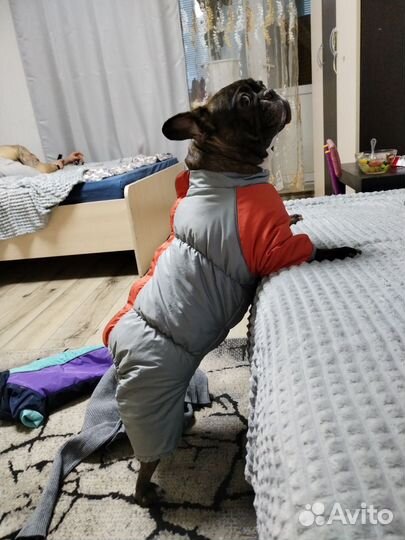 Комбинезон зимний