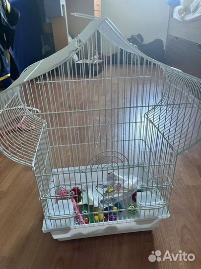 Клетка для птиц