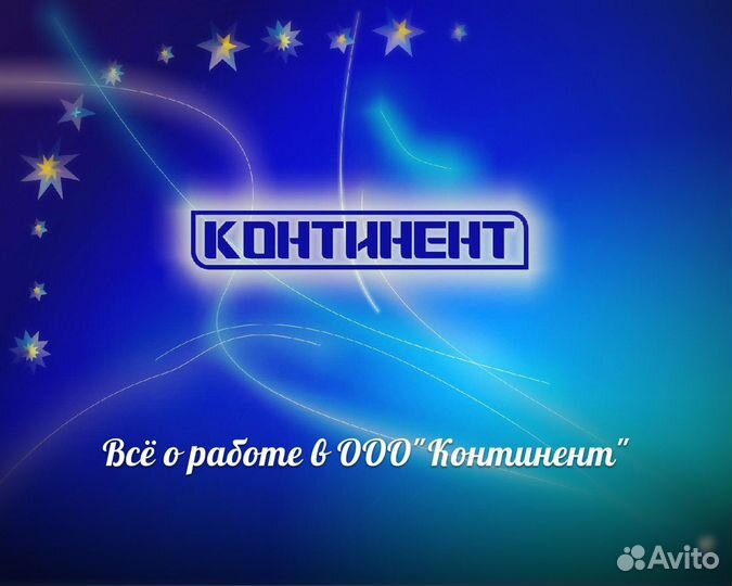 Торговый агент (Тара, Большеречье, Знаменское)