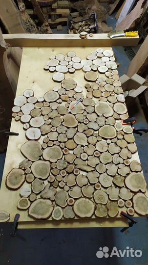 Спилы можжевельника