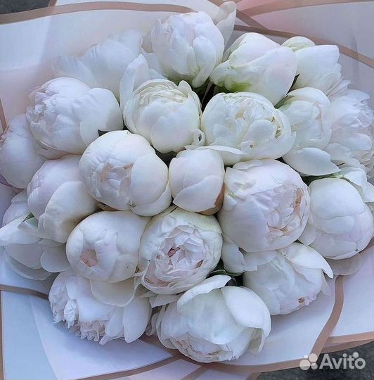 Пионы Букет