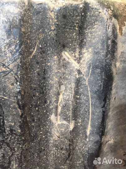 Бензобак тойота Carib ae111