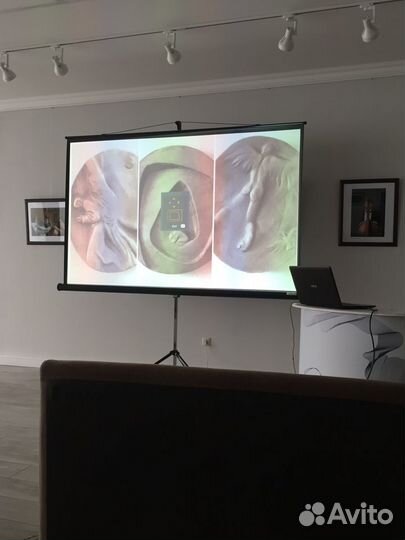 Аренда мультимедиа, экрана, проектора