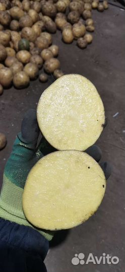 Продам картофель с доставкой