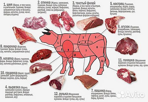 Мясо свежее говядина