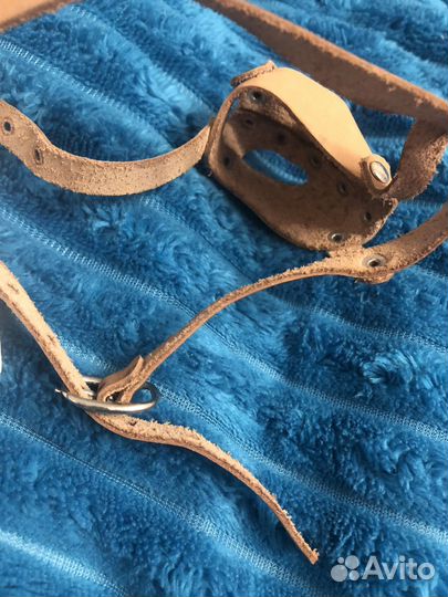 Намордник для собак