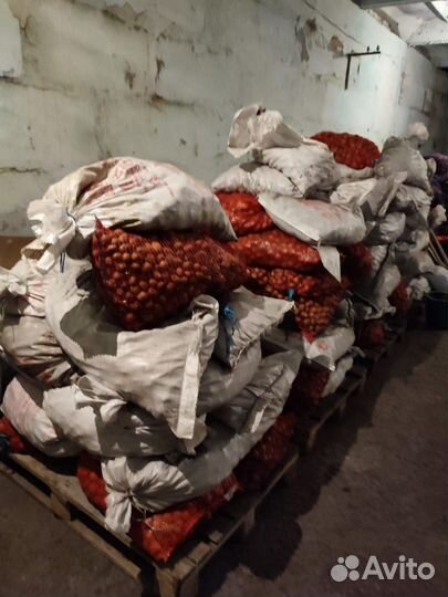 Картофель мелкий на корм животным