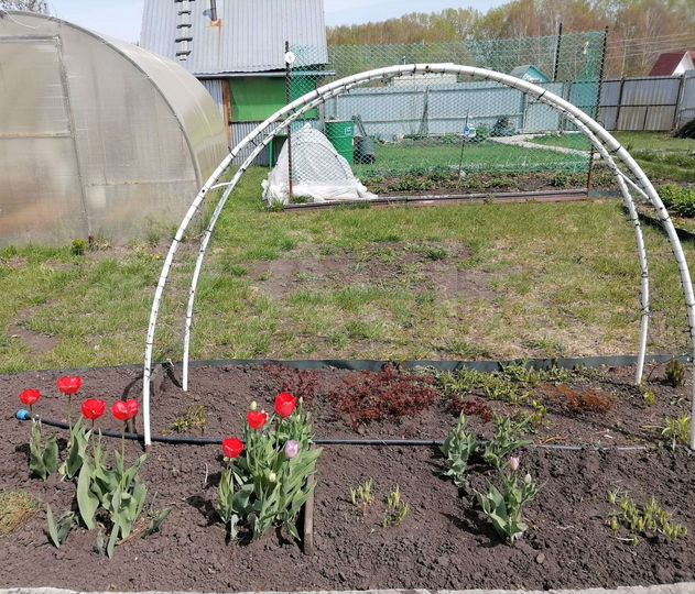 Дача 20 м² на участке 4,5 сот.