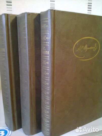 Трилогия Жизнь Пушкина, Пушкин в 3 т., Лермон.энц