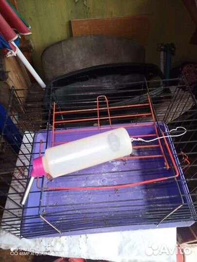 Клетка для грызунов с поилкой