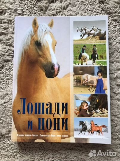 Книги про лошадей