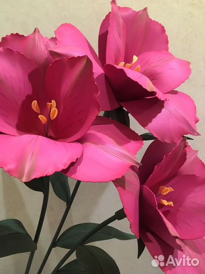 Большие цветы. Аренда/продажа