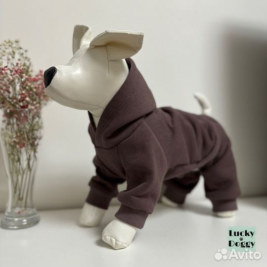 Одежда для собак
