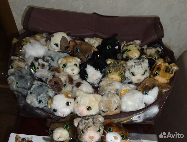 Кошечки The Cat Collection