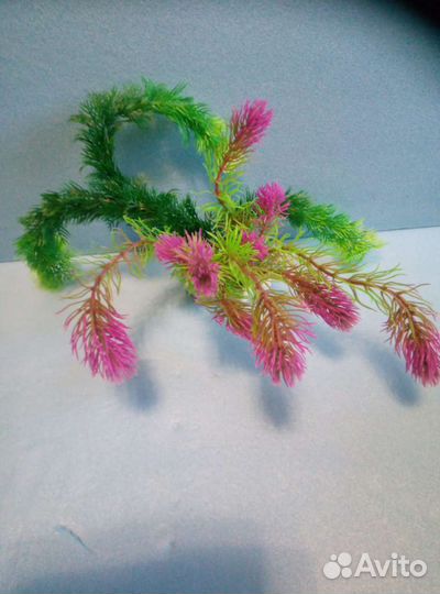 Водоросли искусственные