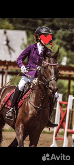 Редингот для конного спорта