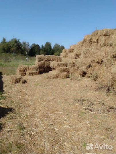 Солома в кипах с доставкой