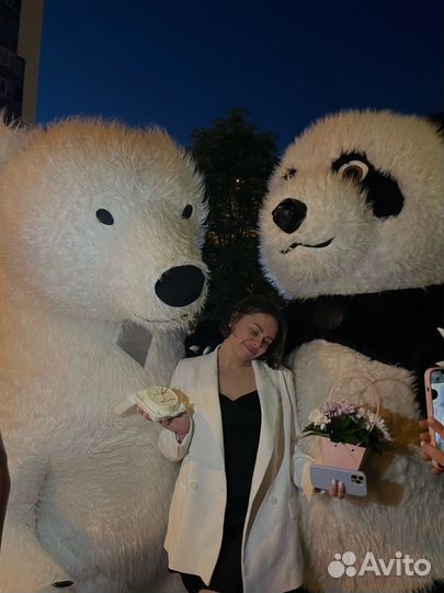 Белый мишка поздравление панда медведь