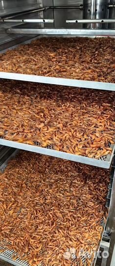 Креветка азовская с доставкой