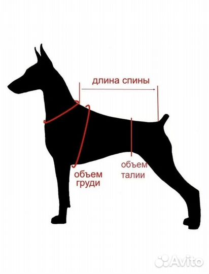 Дождевик для крупной собаки