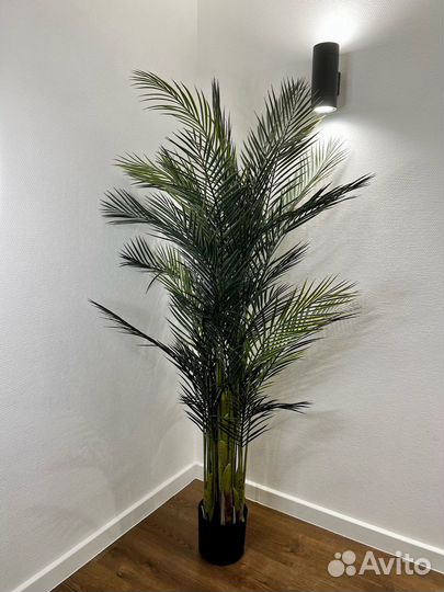 Искусственные растения / озеленение Казань