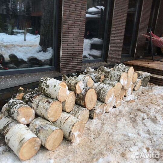 Спил Деревьев Пушкино. Обрезка деревьев
