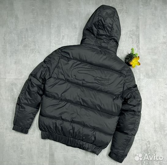 Зимние куртки Lacoste Premium