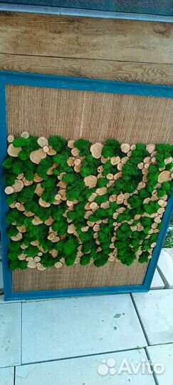 Панно мох и спилы