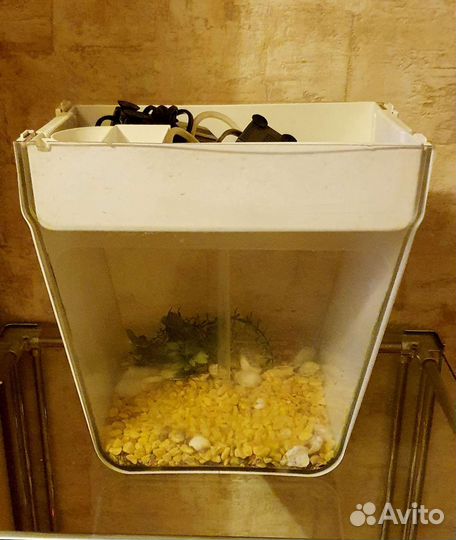 Акваферма AguaFarm