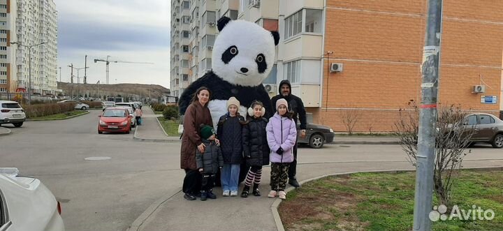 Белый Мишка поздравление