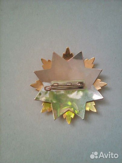 Знак почета лдпр