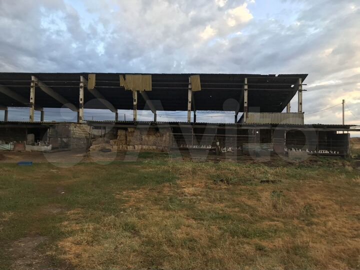 Участок 100 сот. (СНТ, ДНП)