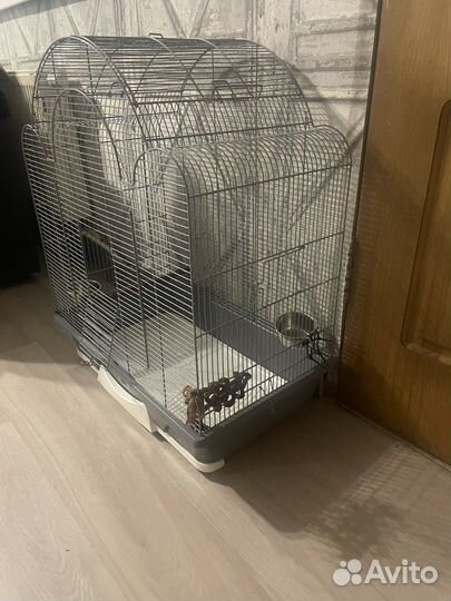 Клетка для попугая