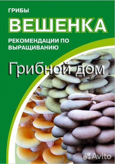 Технология выращивания грибов вешенки