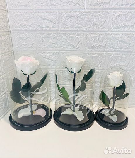 Роза в колбе