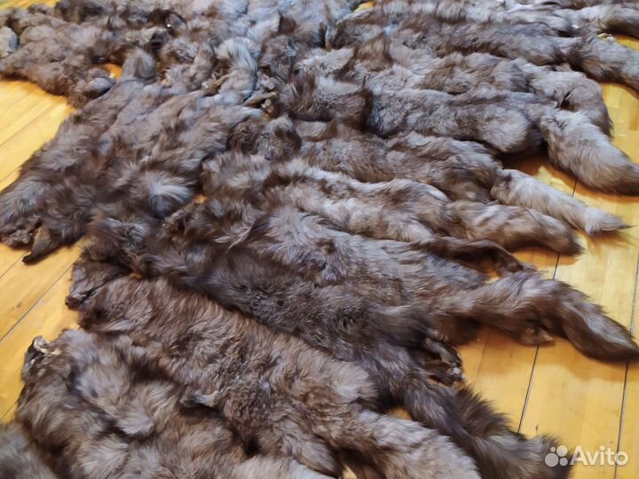 Шкуры блюфроста