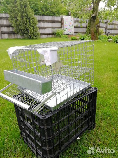 Клетка для перепелов(на 10 птиц