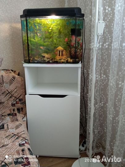 Аквариум 25 литров со всем содержимым