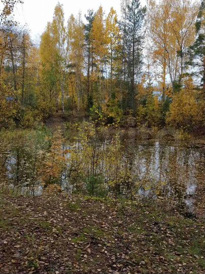 Участок 13,3 сот. (СНТ, ДНП)