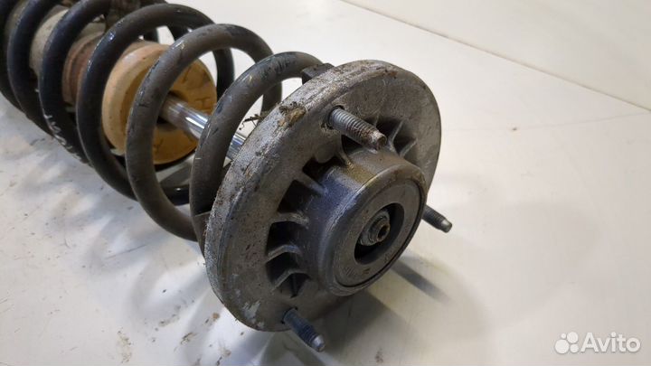 Амортизатор подвески BMW 5 F10, 2011