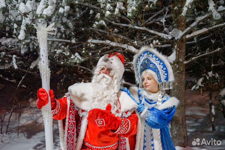 Настоящий VIP Дед Мороз и снегурочка