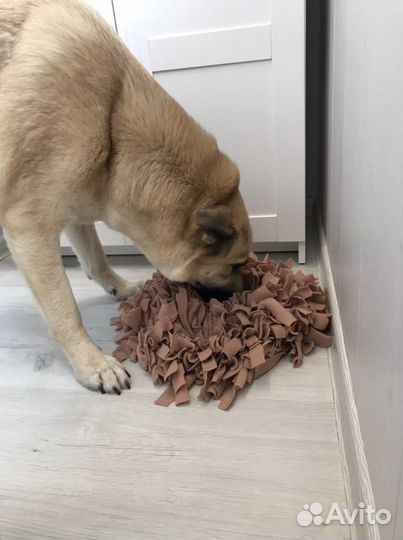 Поисковый коврик для собак и кошек