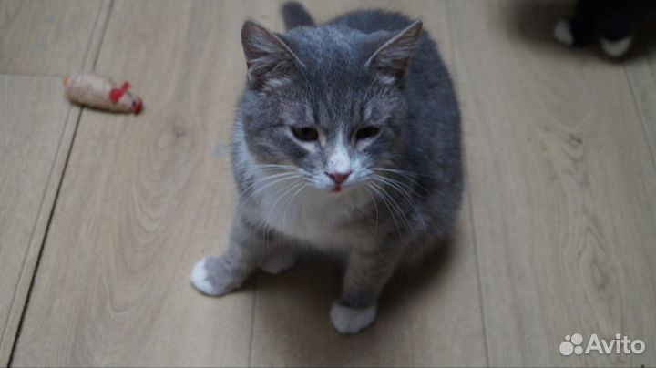 Мальчик Сережка