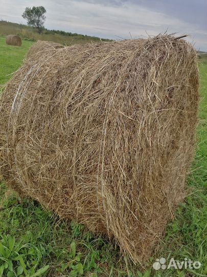 Солома в тюках