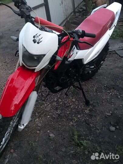 Irbis ttr 250