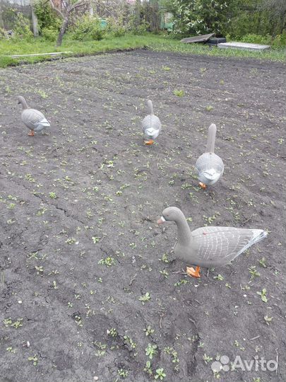 Чучела гусей для охоты