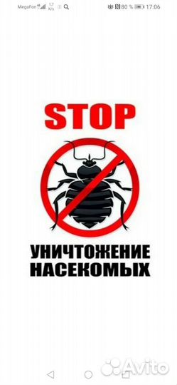 Уничтожение насекомых