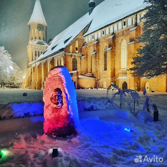 Экскурсия на Куршскую Косу+Зеленоградск+замки